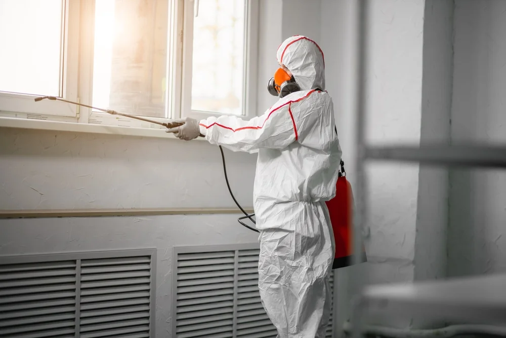 Professional mold remediation services in Holualoa, HI